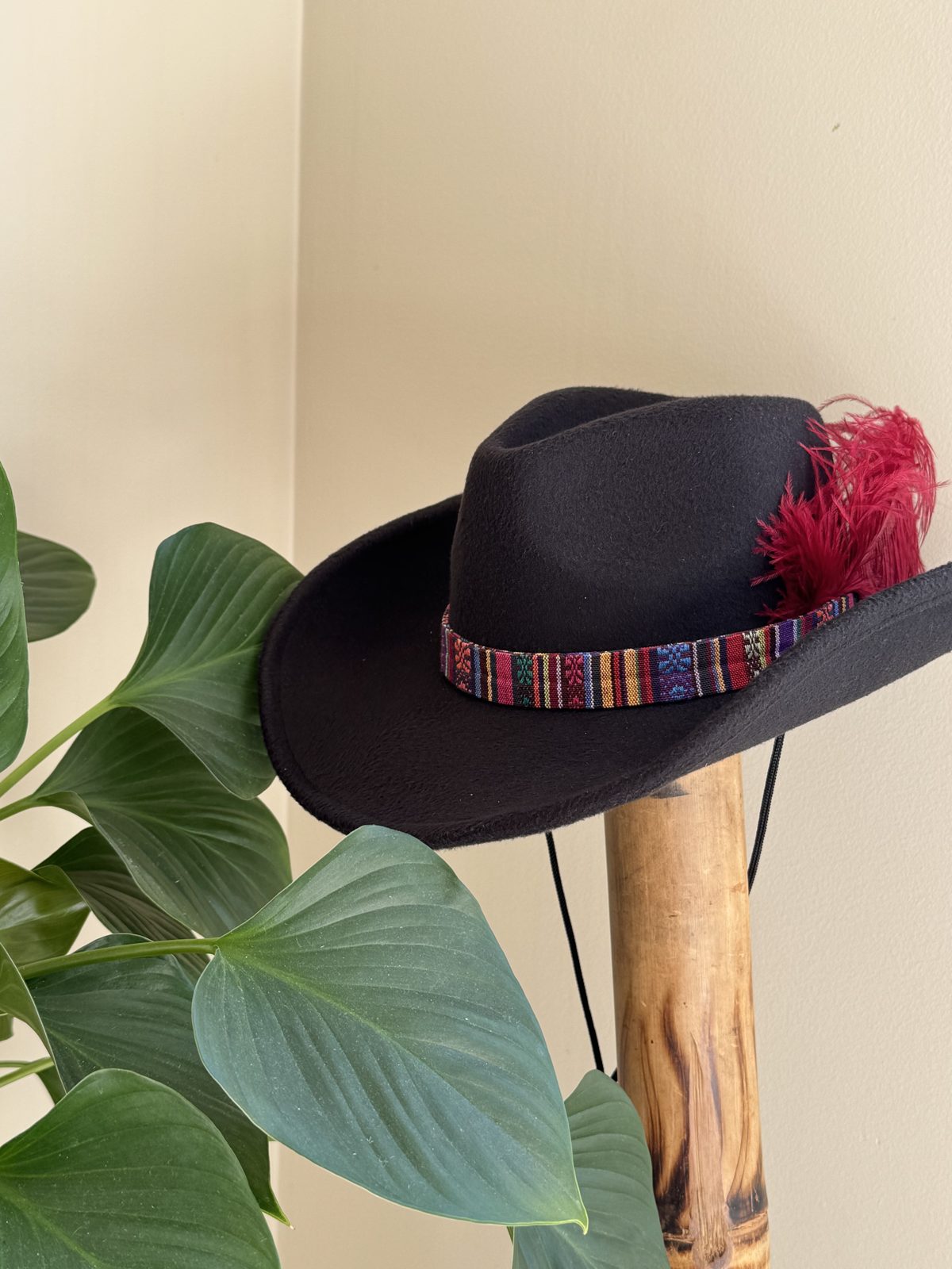 Black fedora with colourful striped band and red feather