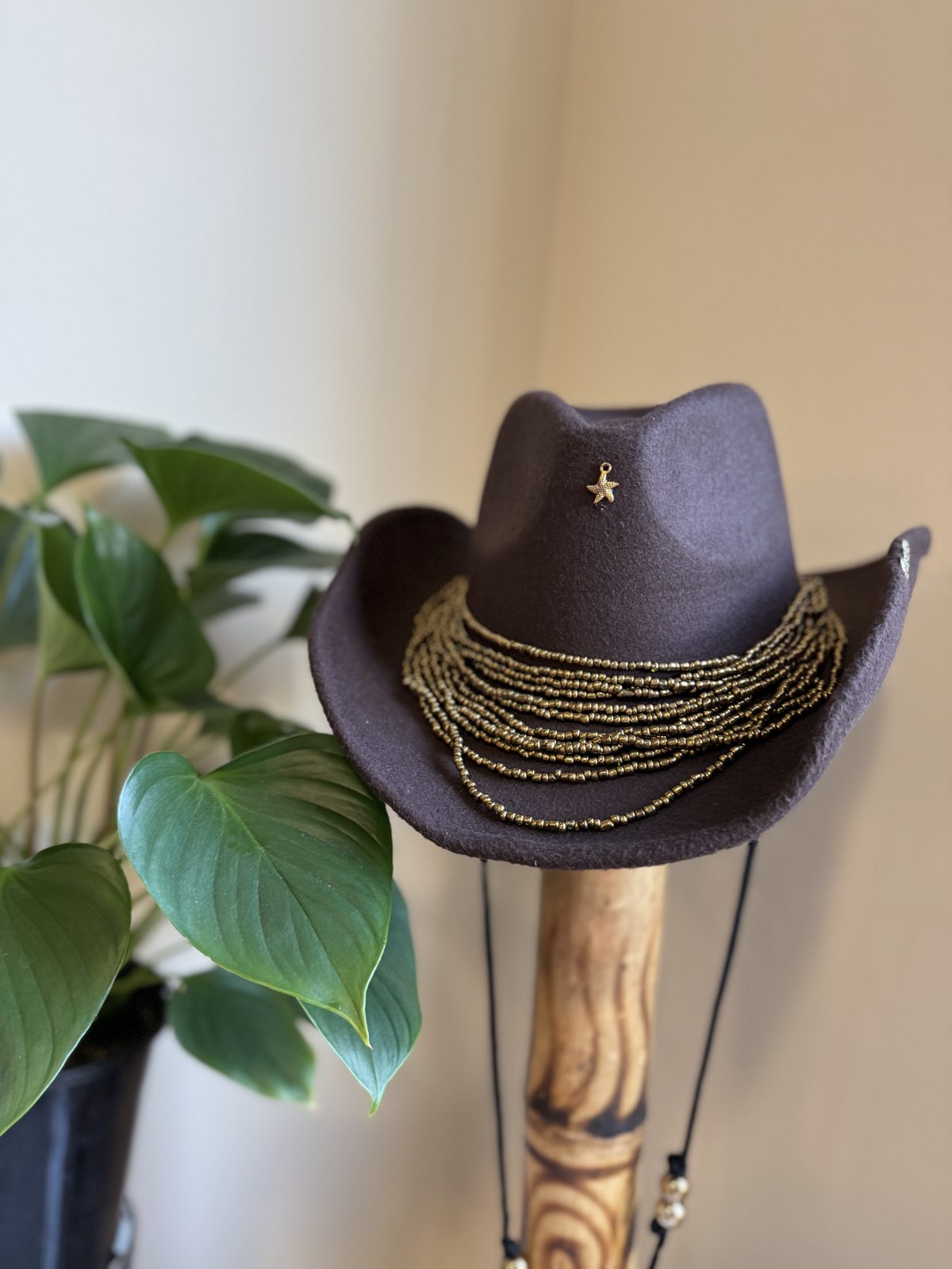 Brown western hat with heavy layered gold chain